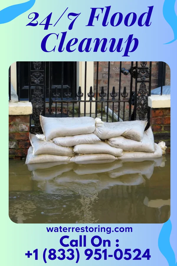 24/7 Flood Cleanup in Mansfield, GA