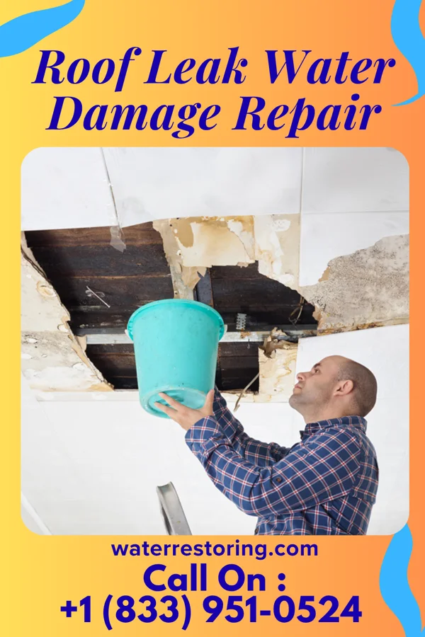Roof Leak Water Damage Repair in Mansfield, GA