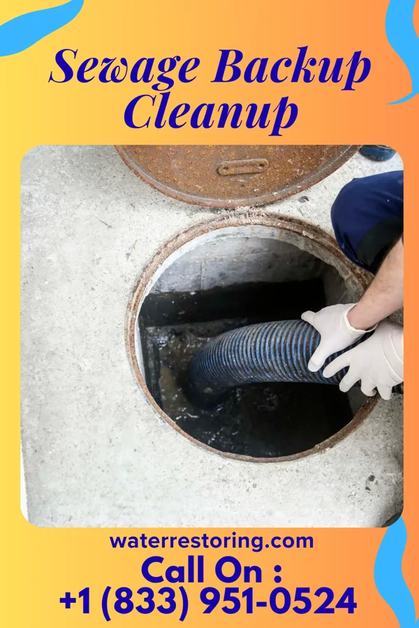 Sewage Backup Cleanup in Mansfield, GA